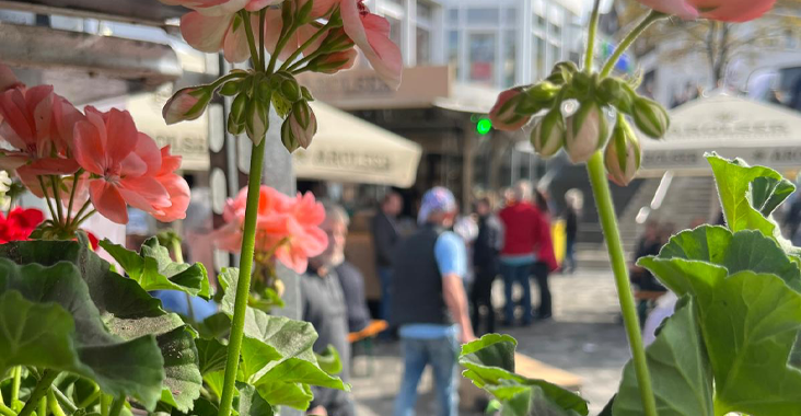 Frühlingshafte Atmosphäre mit Blumen